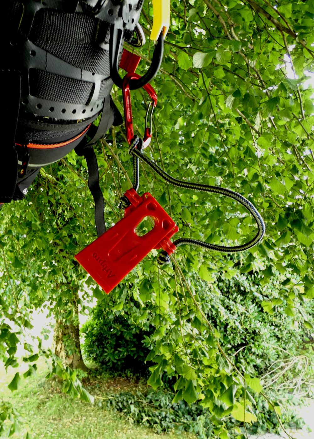 Arborist Micro Wedge