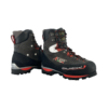 Cervino Wood QS