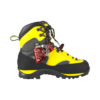 Foot ascender