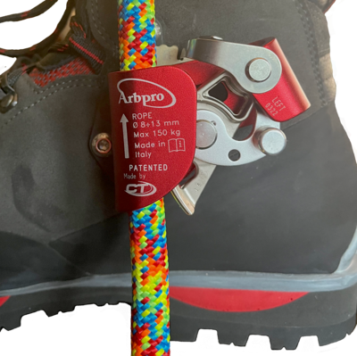 Foot ascender