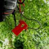 Arborist Micro Wedge
